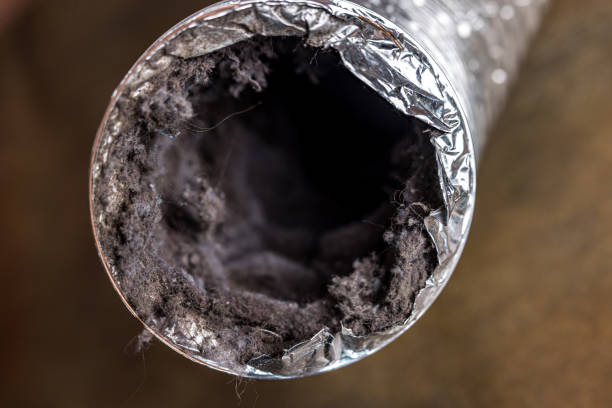 Best Emergency Air Duct Cleaning  in Victory Gardens, NJ